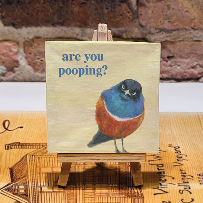 Superb Starling Bird, Mini Artwork (MA-7966D)