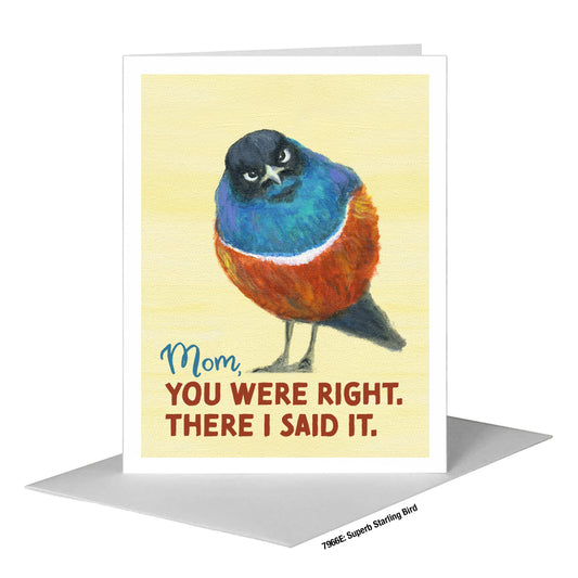 Superb Starling Bird, Greeting Card (#7966E)