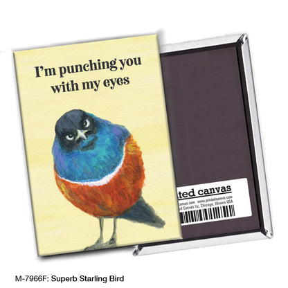 Superb Starling Bird, Magnet (M-7966F)