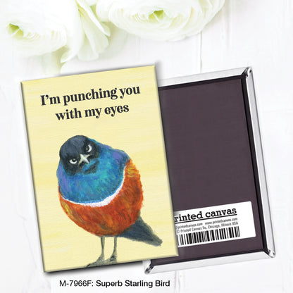 Superb Starling Bird, Magnet (M-7966F)