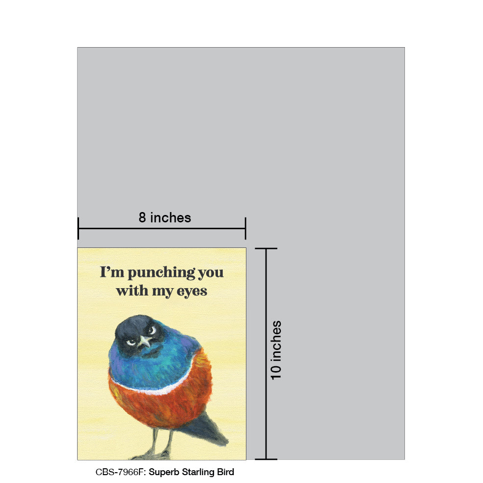 Superb Starling Bird, Card Board (7966F)