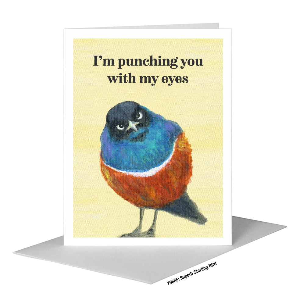 Superb Starling Bird, Greeting Card (#7966F)