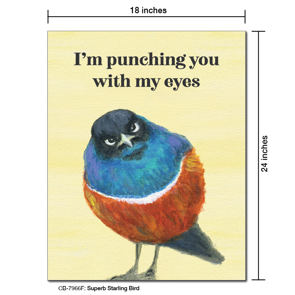 Superb Starling Bird, Card Board (7966F)