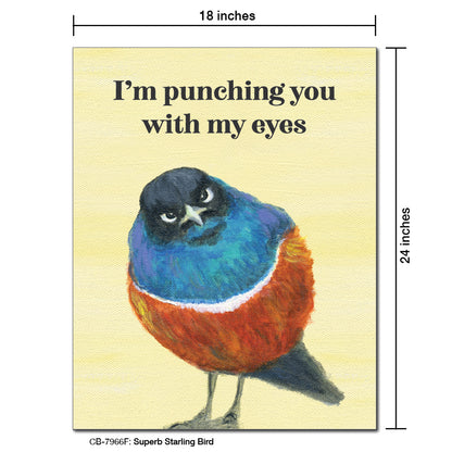 Superb Starling Bird, Card Board (7966F)