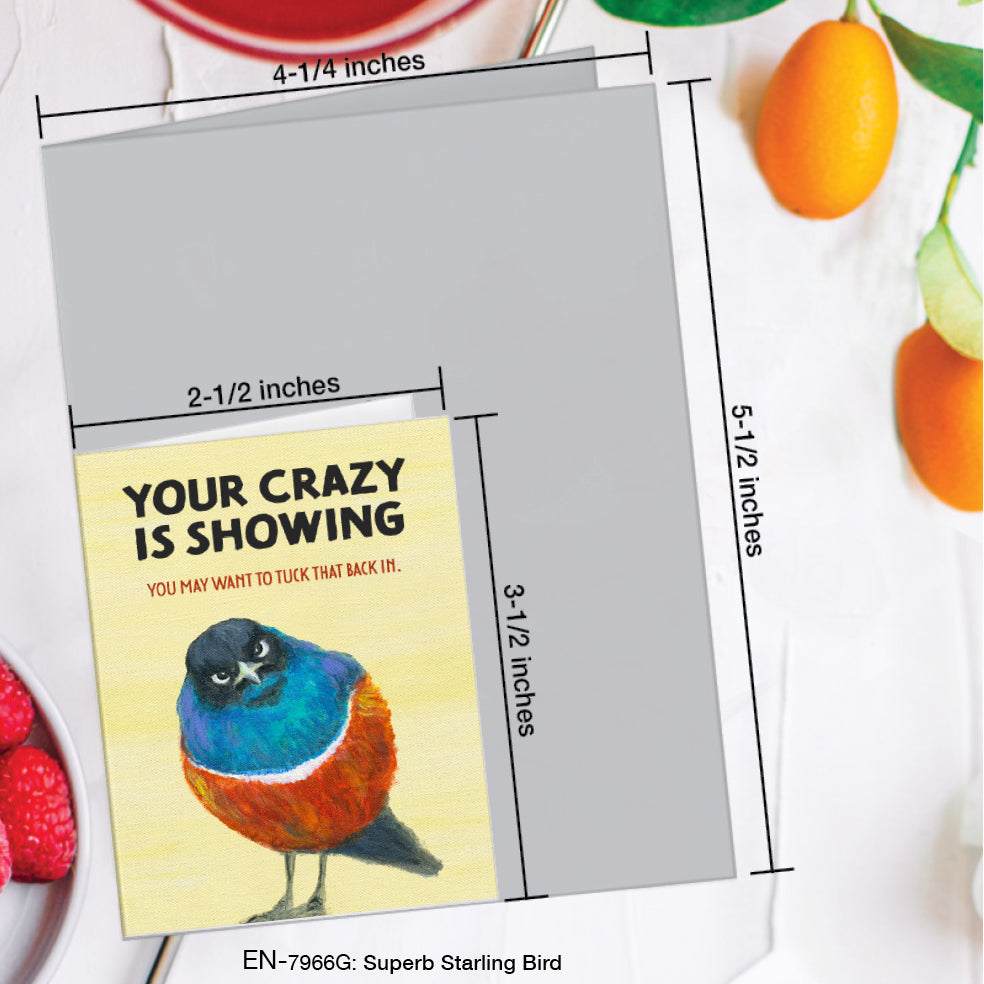 Superb Starling Bird, Greeting Card (#7966G)