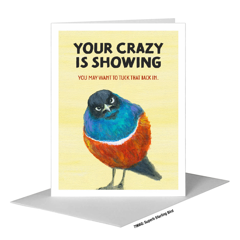 Superb Starling Bird, Greeting Card (#7966G)