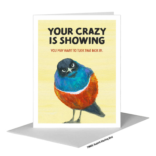 Superb Starling Bird, Greeting Card (#7966G), A2 Card Front, www.printedcanvas.com