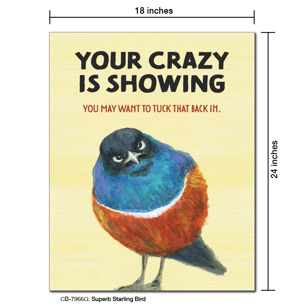 Superb Starling Bird, Card Board (7966G)