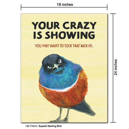 Superb Starling Bird, Card Board (7966G)