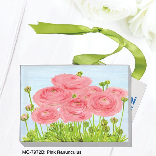 Pink Ranunculus, Mini Canvas (MC-7972B)