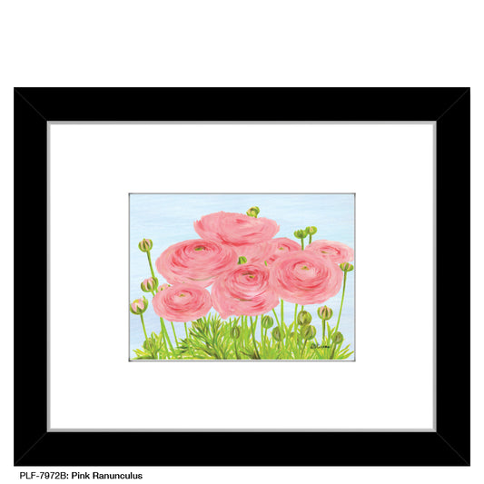 Pink Ranunculus, Print (#7972B)