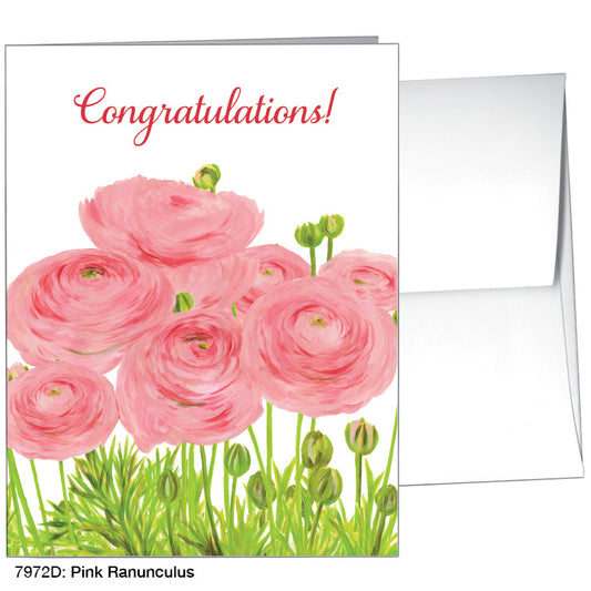 Pink Ranunculus, Greeting Card (7972D)