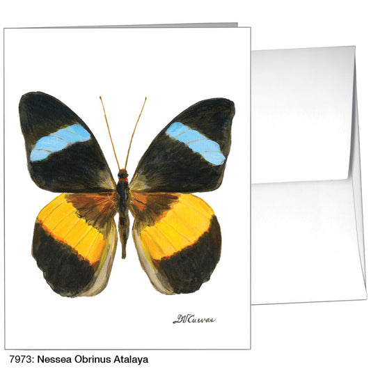 Nessea Obrinus Atalaya, Greeting Card (7973B), A2 Card Front, www.printedcanvas.com