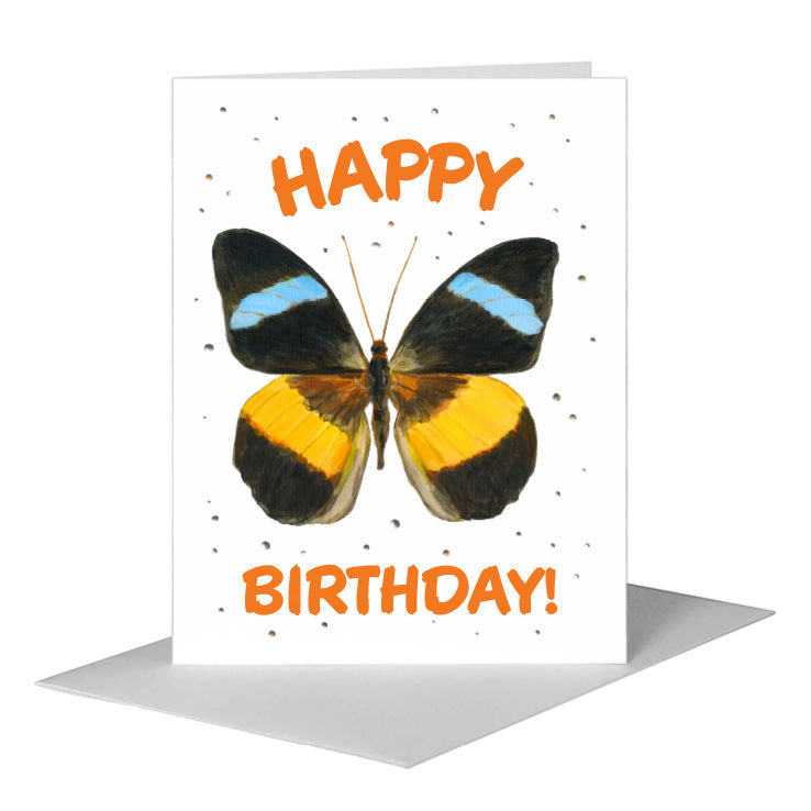 Nessea Obrinus Atalaya Butterfly, Greeting Card (#7973A) A2 Card Front, www.printedcanvas.com