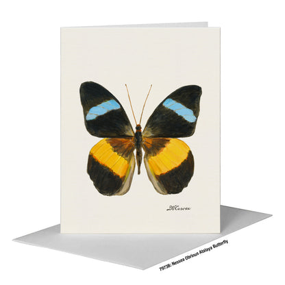 Nessea Obrinus Atalaya Butterfly, Greeting Card (#7973B)