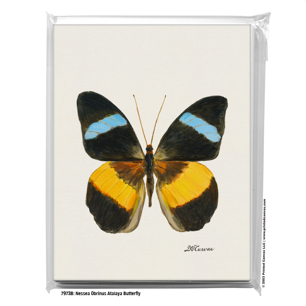 Nessea Obrinus Atalaya Butterfly, Greeting Card (#7973B)
