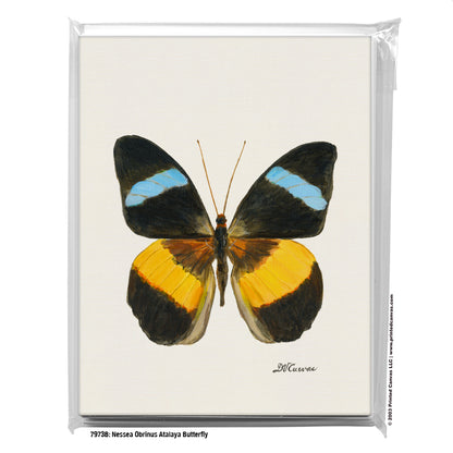 Nessea Obrinus Atalaya Butterfly, Greeting Card (#7973B)