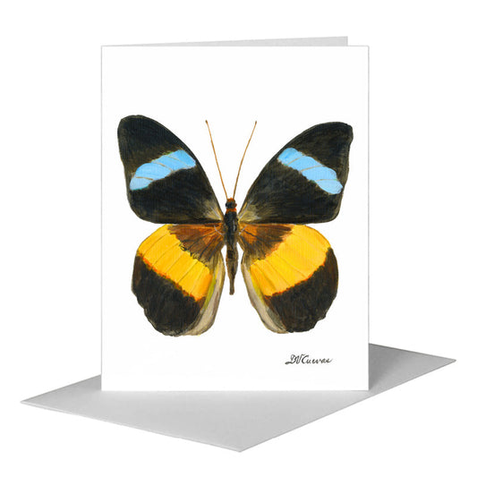 Nessea Obrinus Atalaya Butterfly, Greeting Card (#7973B) A2 Card Front, www.printedcanvas.com