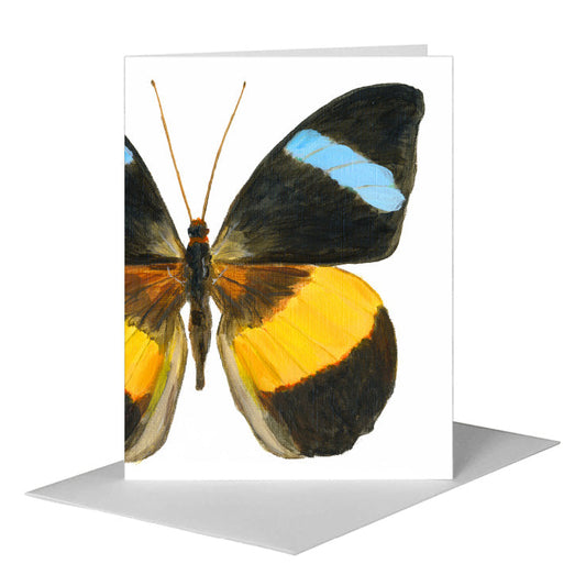 Nessea Obrinus Atalaya Butterfly, Greeting Card (#7973E) A2 Card Front, www.printedcanvas.com