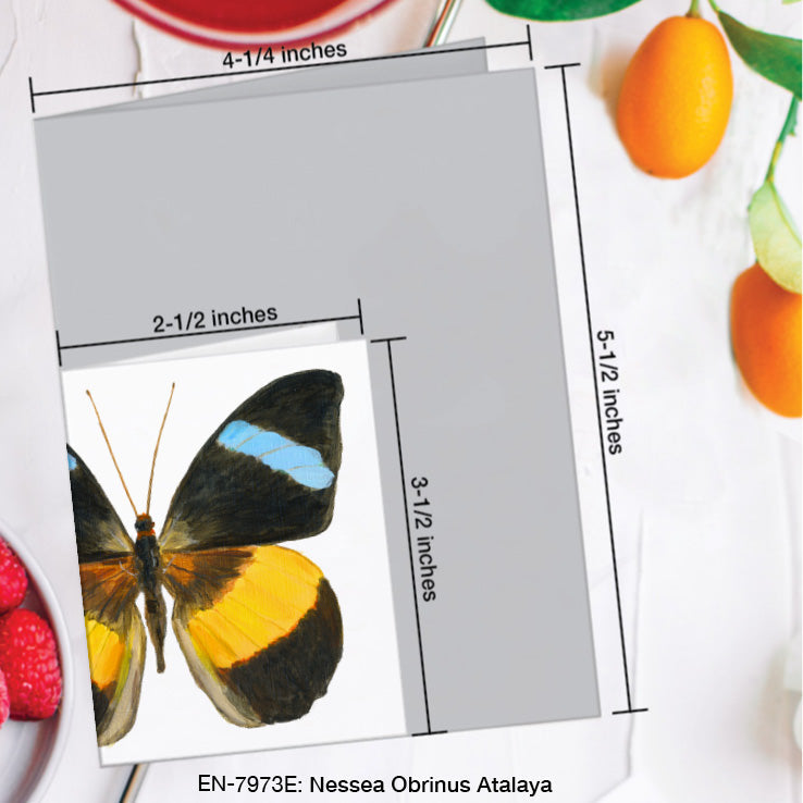 Nessea Obrinus Atalaya Butterfly, Greeting Card (7973E), Enclosure Card, www.printedcanvas.com