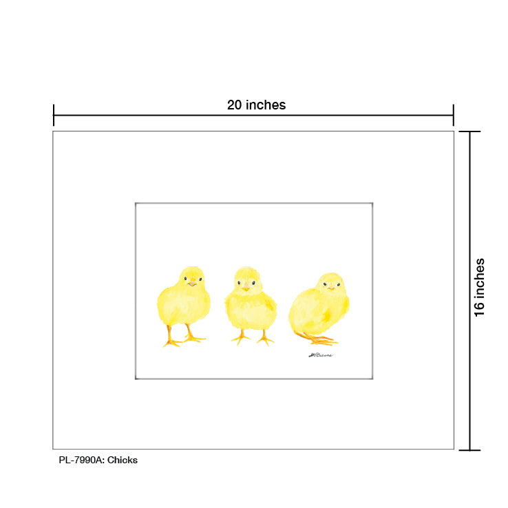 Chicks, Print (#7990A)