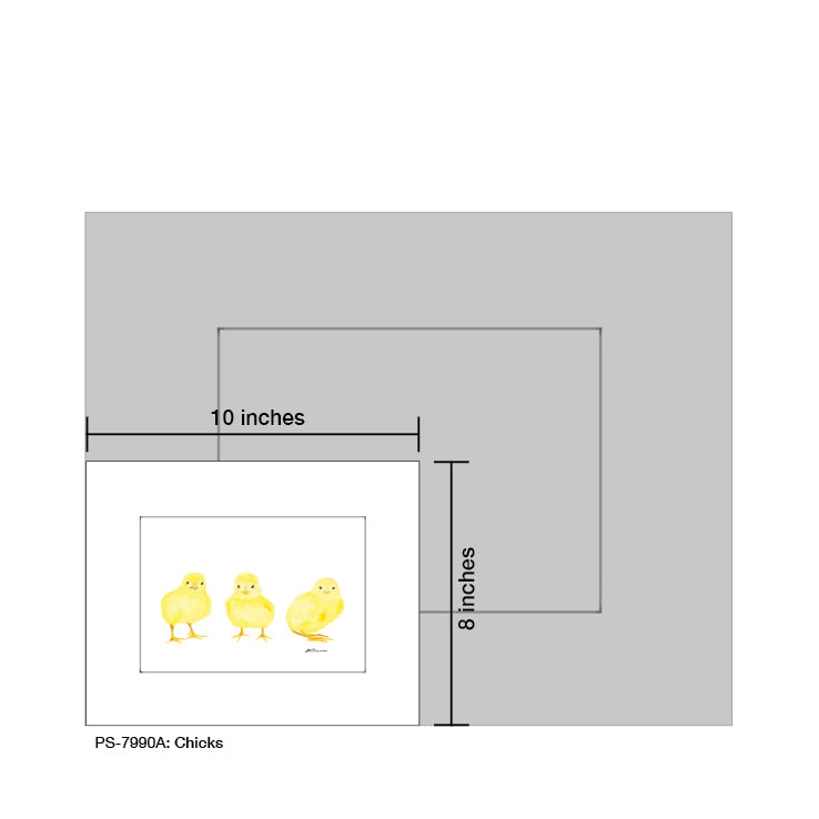 Chicks, Print (#7990A)