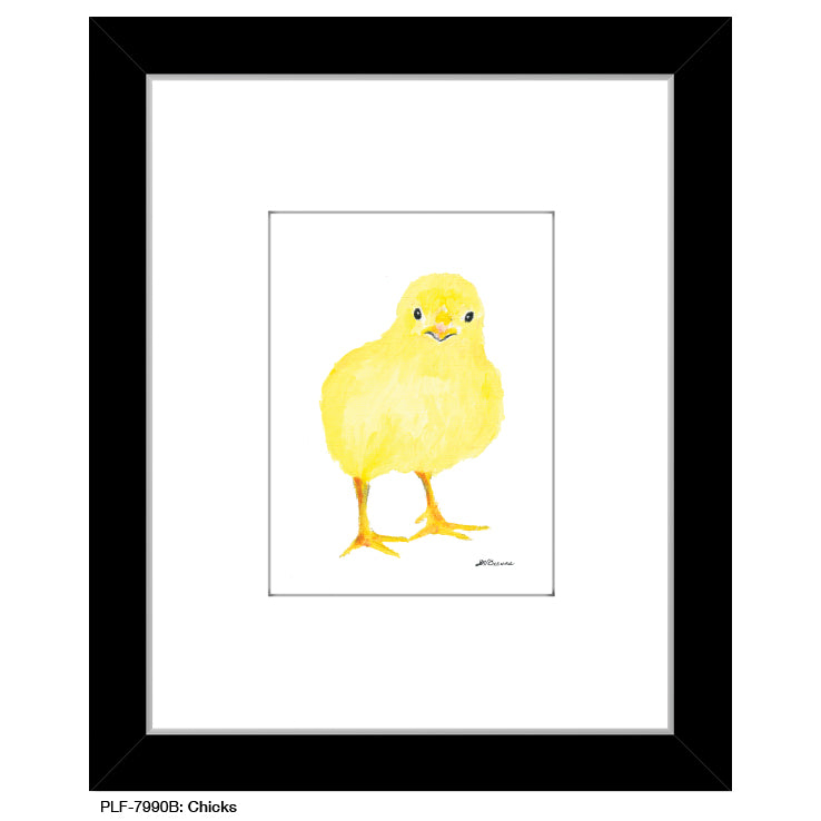 Chicks, Print (#7990B)