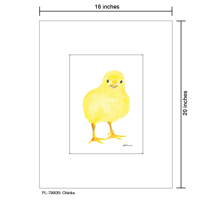 Chicks, Print (#7990B)