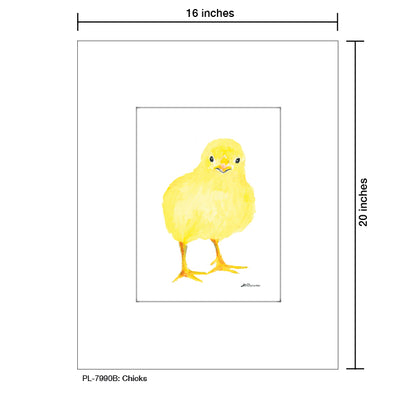Chicks, Print (#7990B)