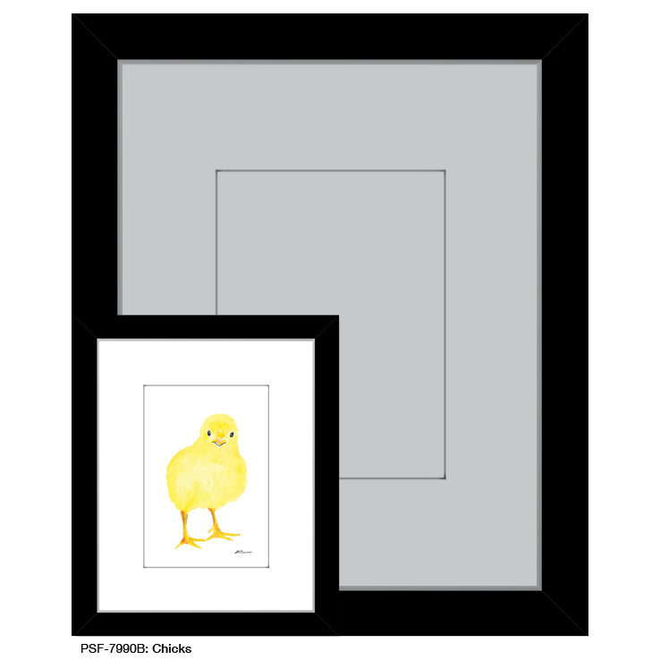 Chicks, Print (#7990B)