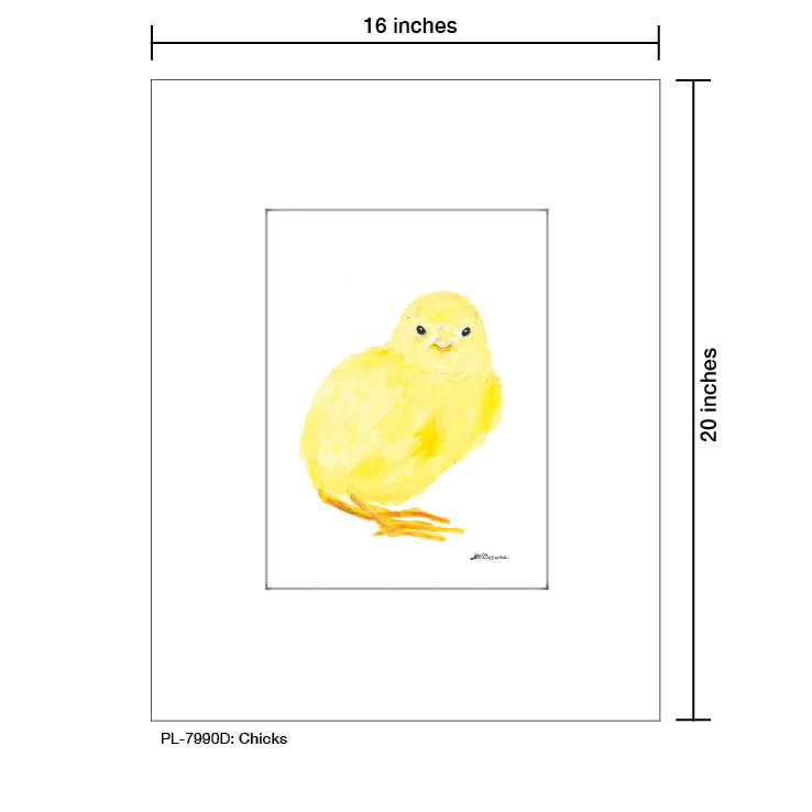 Chicks, Print (#7990D)