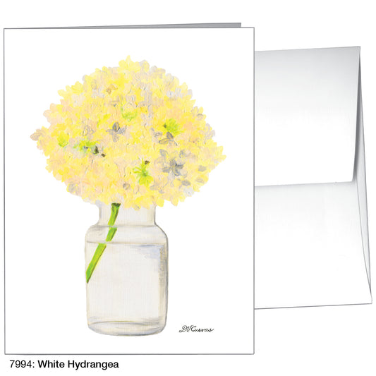 White Hydrangea, Greeting Card (7994)