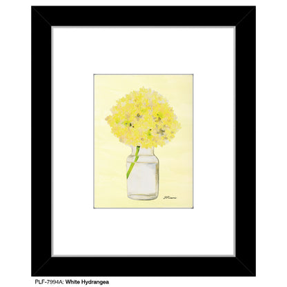 White Hydrangea, Print (#7994A), Print Matted, www.printedcanvas.com