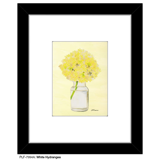 White Hydrangea, Print (#7994A), Print Matted, www.printedcanvas.com