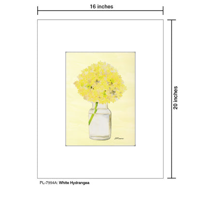 White Hydrangea, Print (#7994A), Printe Matted, www.printedcanvas.com