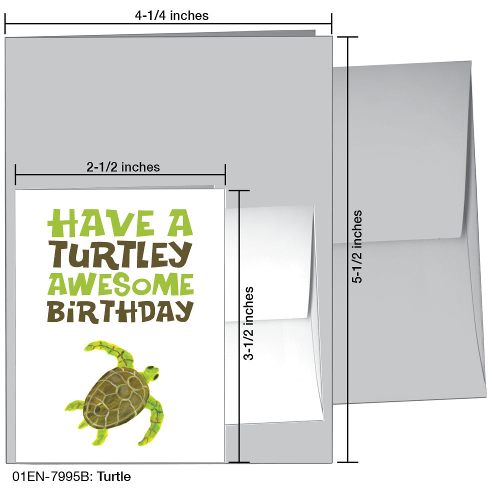 Turtle, Greeting Card (7995B), Enclosure, printedcanvas.com