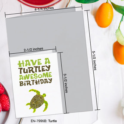 Turtle, Greeting Card (7995B), Enclosure, www.printedcanvas.com