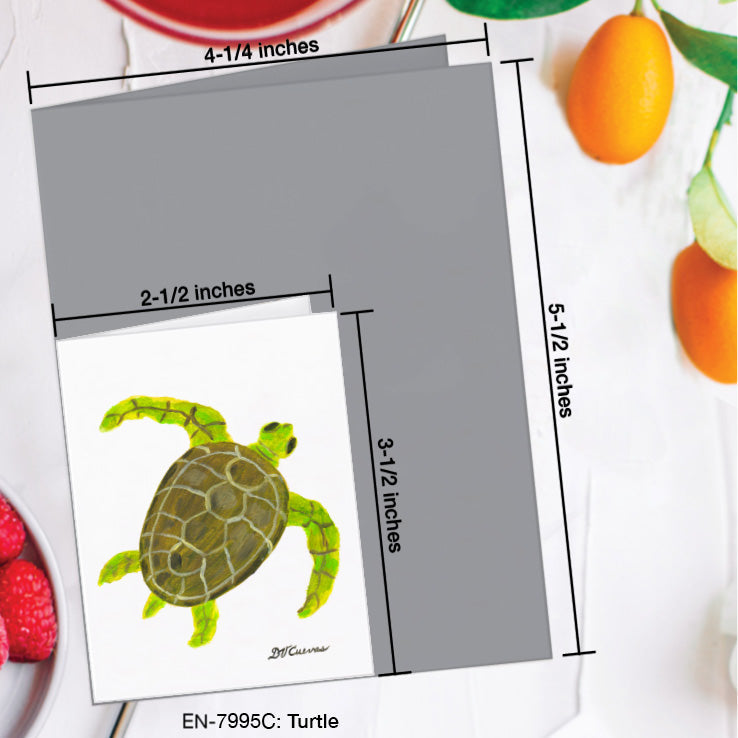 Turtle, Greeting Card (7995C), Enclosure Card, www.printedcanvas.com