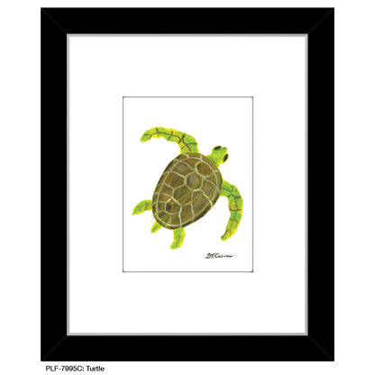 Turtle, Print (#7995C)