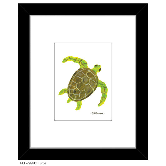 Turtle, Print (#7995C)