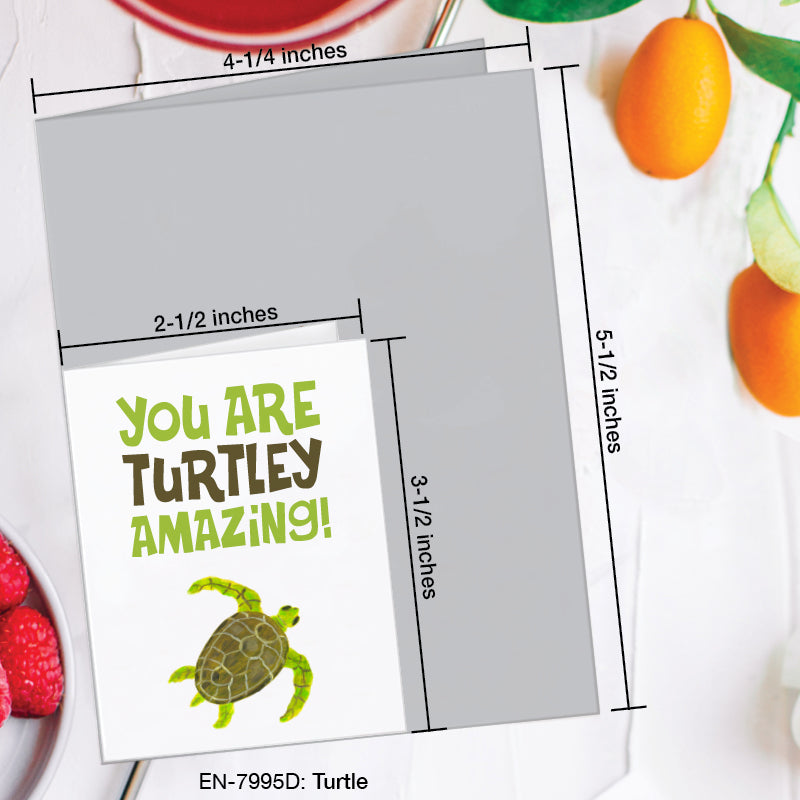 Turtle, Greeting Card (7995D), Enclosure, www.printedcanvas.com