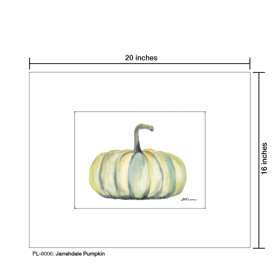 Jarrahdale Pumpkin, Print (8006)