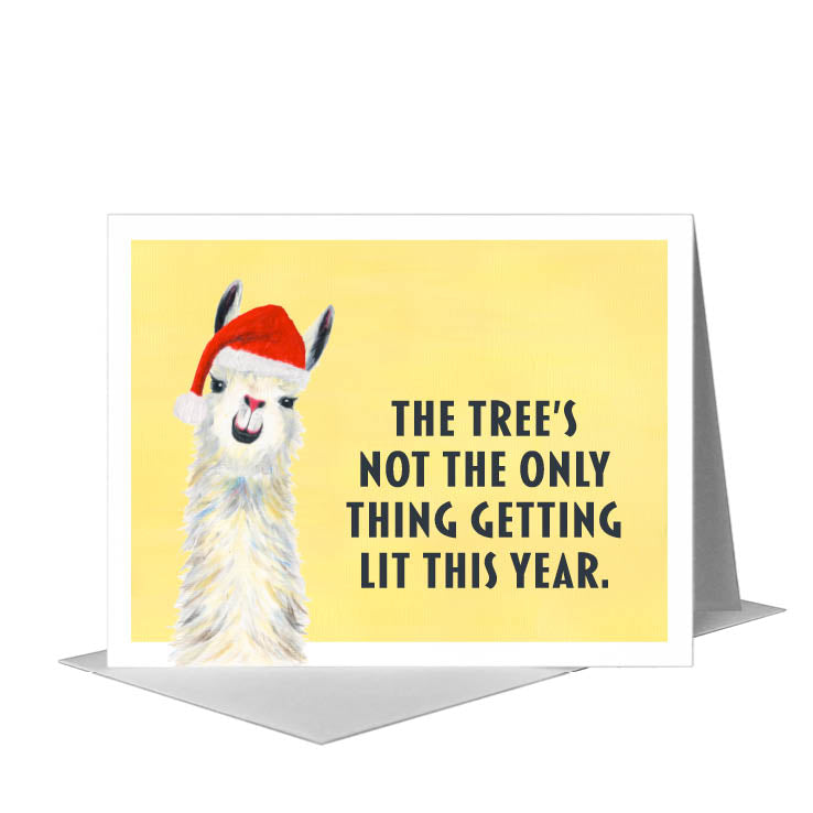Llama Pink Nose, Greeting Card (#8067JB), A2 Card Front, www.printedcanvas.com