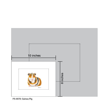 Guinea Pig, Print (#8078C)