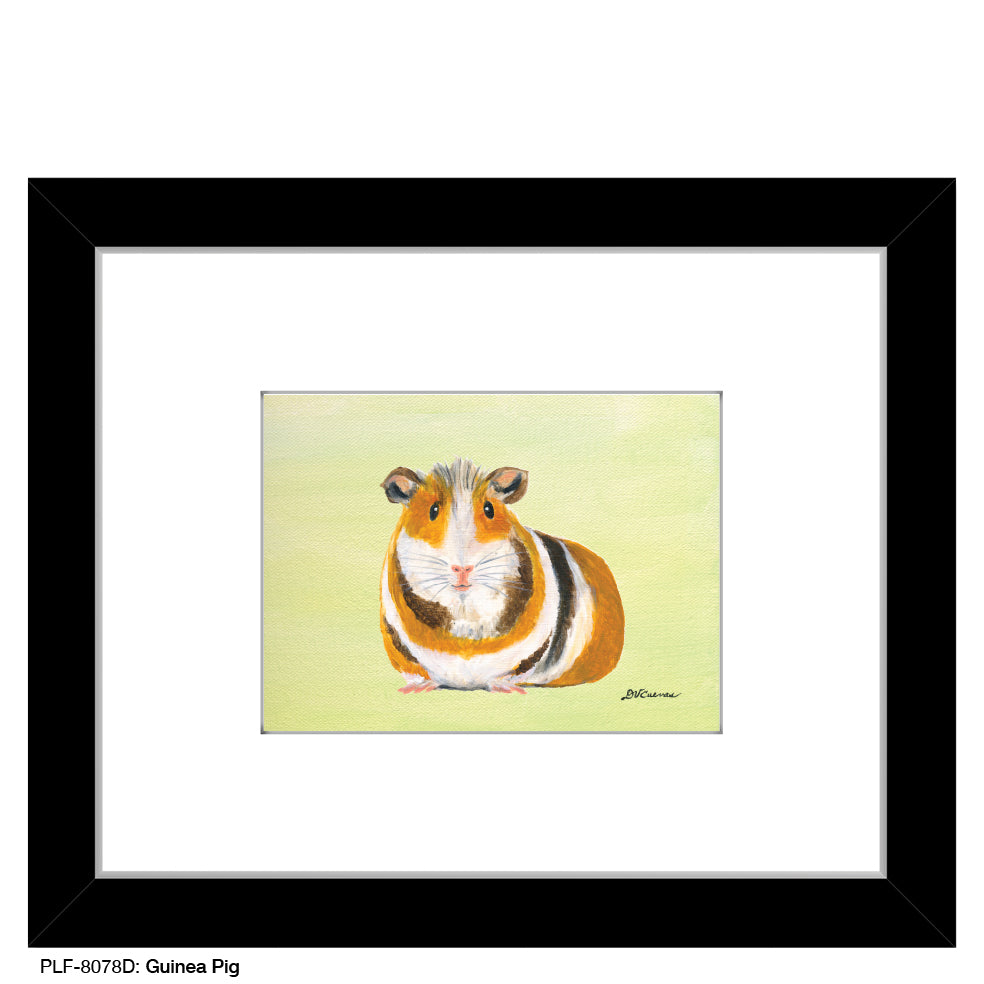 Guinea Pig, Print (#8078D)