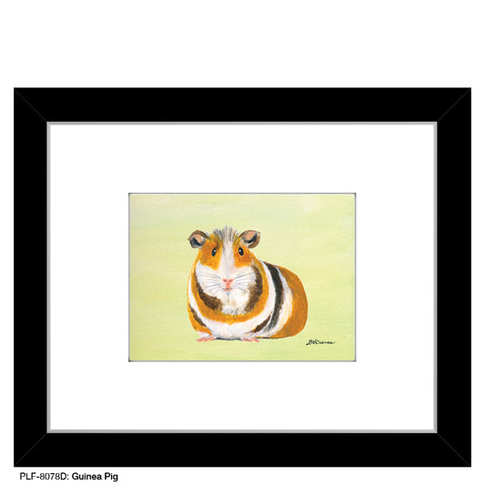 Guinea Pig, Print (#8078D)
