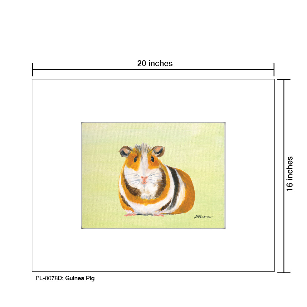 Guinea Pig, Print (#8078D)