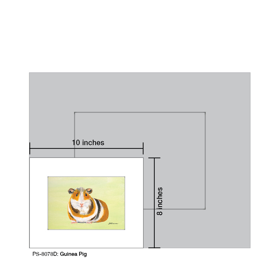 Guinea Pig, Print (#8078D)