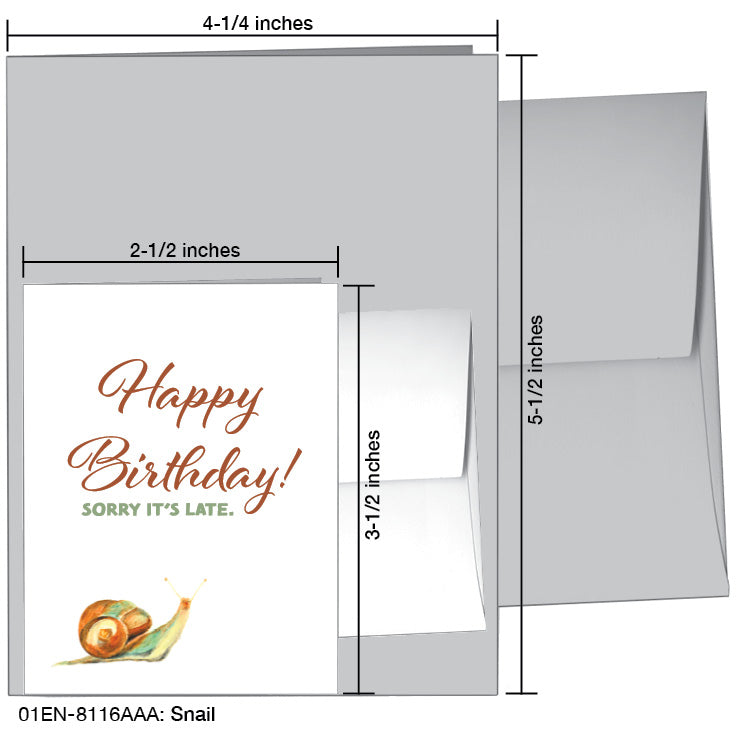 Snail, Greeting Card (8116AA), Enclosure Card, www.printedcanvas.com