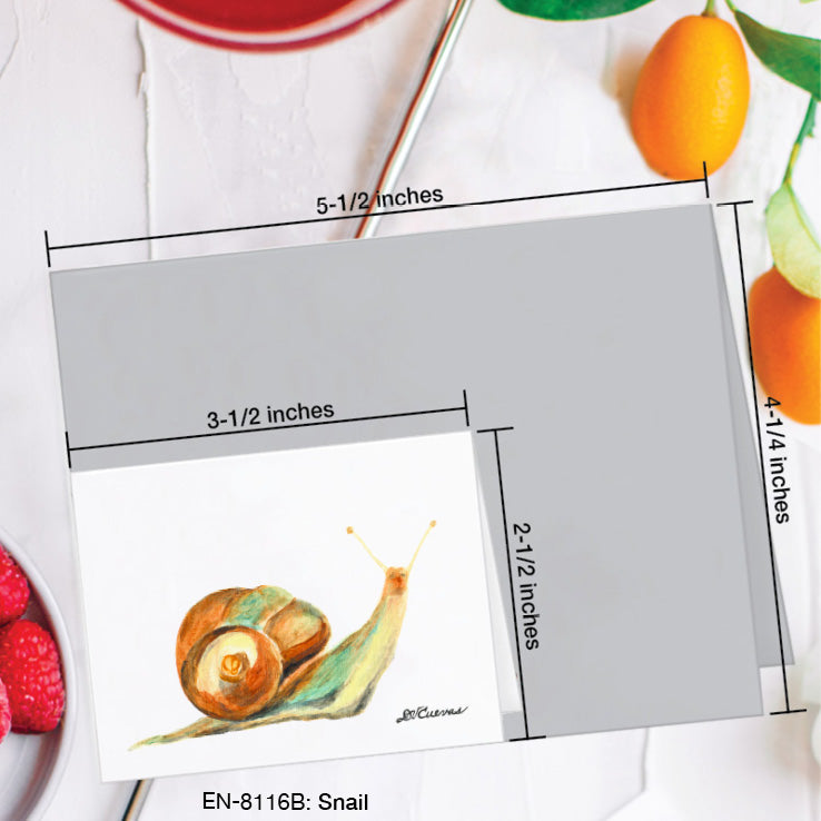 Snail, Greeting Card (8116B), Enclosure Card, www.printedcanvas.com